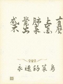 感觉肺上有痰咳不出来怎么回事