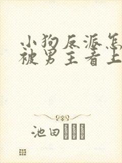 小狗反派怎么又被男主看上