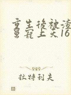 重生后被渣男舅舅宠上天16