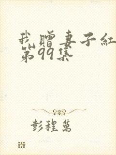 我赠妻子红缨枪第99集封面