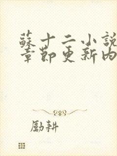 苏十二小说最新章节更新内容