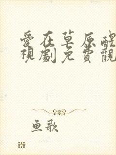 爱在草原醒来电视剧免费观看高清