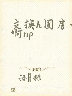 交换h圆房～嗯啊np
