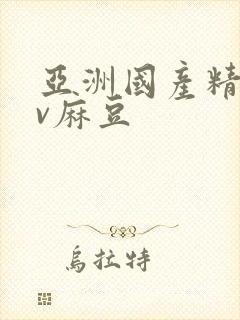 亚洲国产精品av麻豆