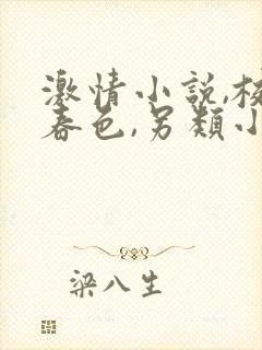 激情小说,校园春色,另类小说封面