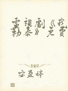 电视剧《我的阿勒泰》免费观看