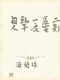 日韩一区二区成人午夜电影封面