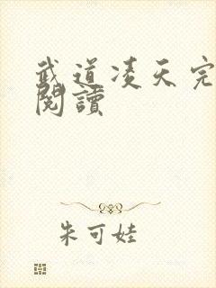 武道凌天完整版阅读