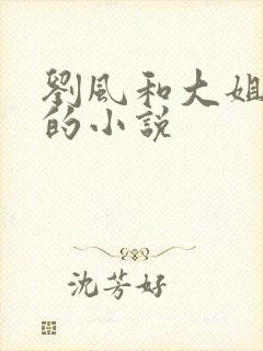 刘风和大姐李盈的小说