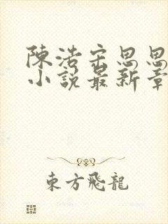 陈浩宋思思林欢小说最新章节列表