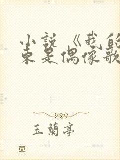 小说 《我的房东是偶像歌手》