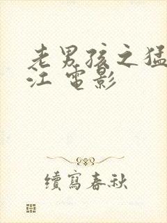 老男孩之猛龙过江 电影