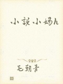 小说小妈h封面