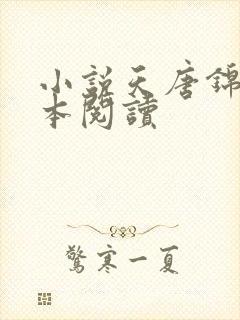 小说天唐锦绣全本阅读