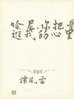 哈尼,你把爱放进我的心里是什么歌