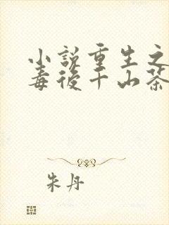 小说重生之将门毒后千山茶客最新篇章