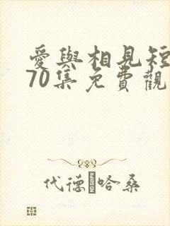 爱与相见短剧第70集免费观看