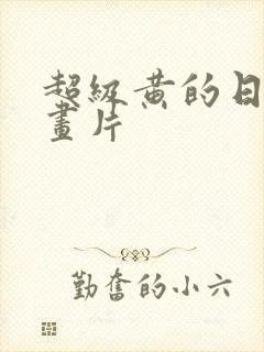 超级黄的日本动画片