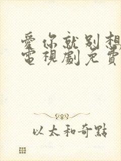 爱你就别想太多电视剧免费观看全集封面