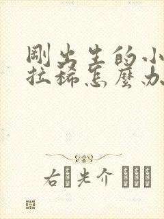 刚出生的小奶狗拉稀怎么办吃什么药