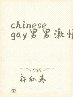 chinesegay男男激情封面