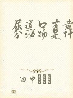 尿道口有黄白色分泌物是什么原因封面