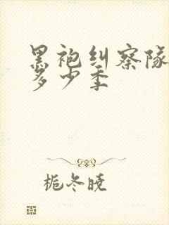 黑袍纠察队一共多少季封面