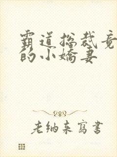 霸道总裁竟是我的小娇妻