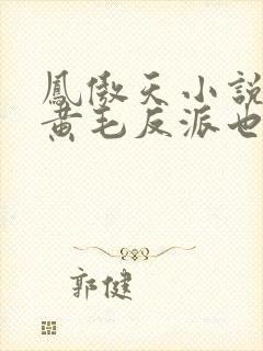 凤傲天小说里的黄毛反派也想幸福第九卷