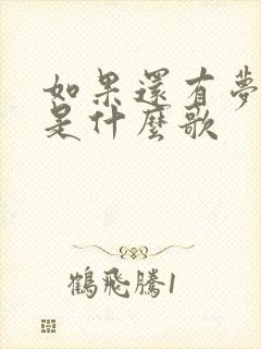 如果还有梦就追是什么歌