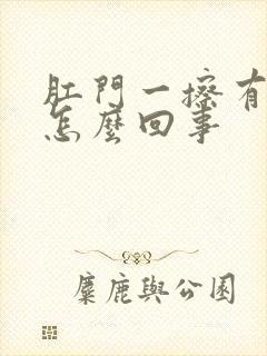 肛门一擦有点血怎么回事封面