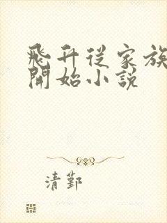 飞升从家族修仙开始小说封面