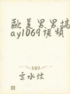 欧美男男搞基gay1069视频