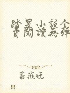 踏星小说全文免费阅读无弹窗