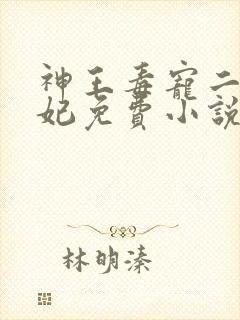 神王毒宠二嫁王妃免费小说