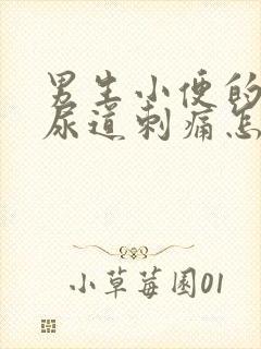 男生小便的时候尿道刺痛怎么办