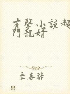 有声小说超级上门龙婿