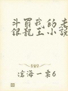 斗罗我的老婆是银龙王小说免费阅读