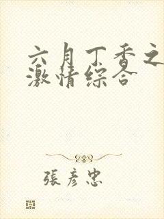 六月丁香之婷婷激情综合封面