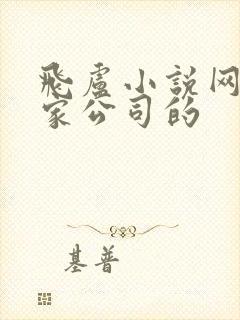 飞卢小说网是哪家公司的