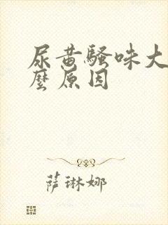 尿黄骚味大是什么原因封面