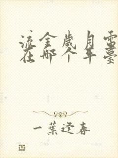 流金岁月电视剧在哪个平台看