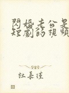 闪婚老公是总裁短剧的视频