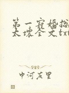 第一宠婚总裁别太坏全文txt