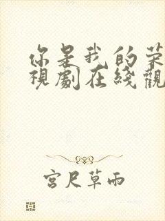 你是我的荣耀电视剧在线观看免费完整版