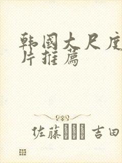 韩国大尺度伦理片推荐封面