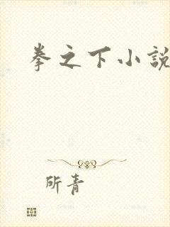 拳之下小说