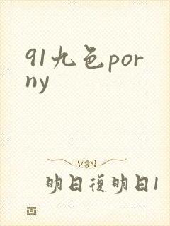 91九色porny封面