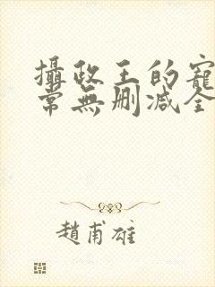 摄政王的宠妻日常无删减全本阅读