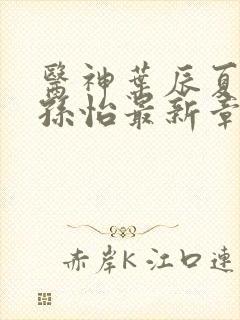 医神叶辰夏若雪孙怡最新章节